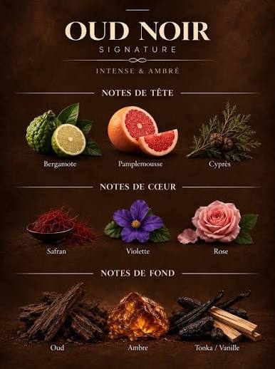 OUD Noir NOREYNI APEX