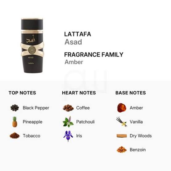 ASAD NOREYNI APEX